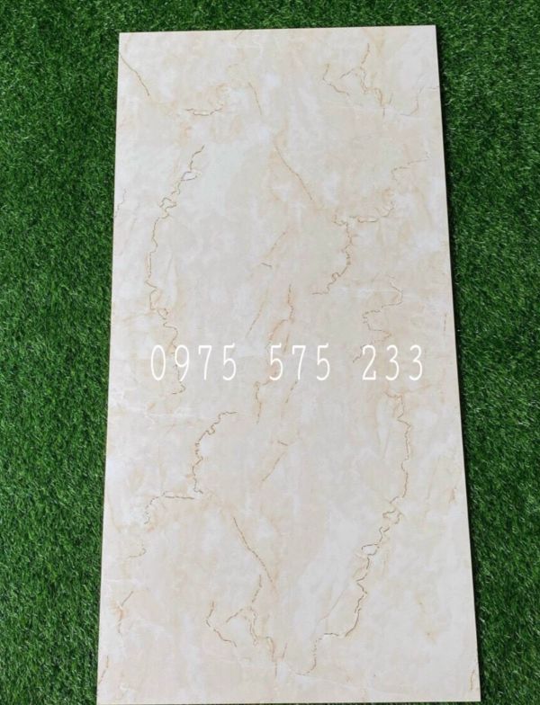 Gạch trung quốc 60x120 cao cấp nhũ vàng bóng kiếng tphcm 29