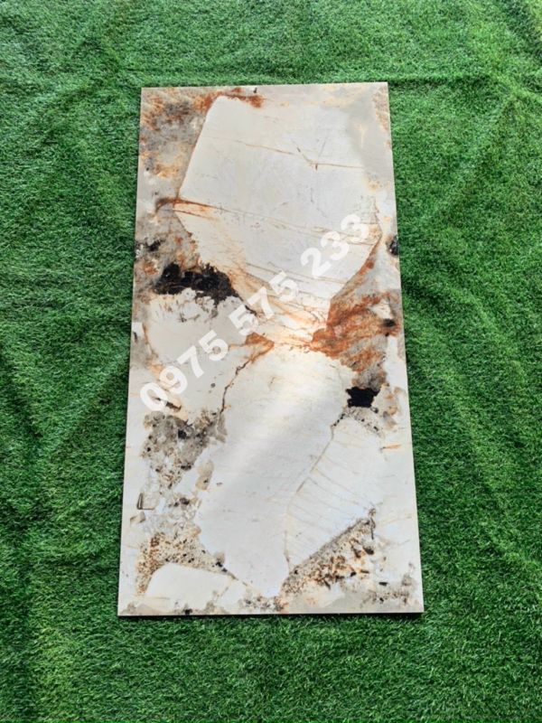 Gạch ấn độ 60x120 vân đá tại hà nội hồ chí minh