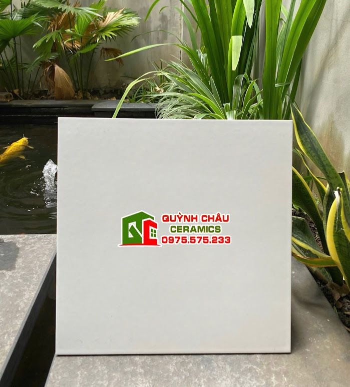 Gạch bông 30x30 trắng mờ men trơn