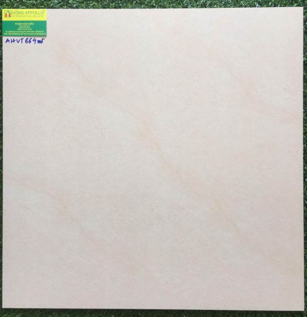 Gạch lát nền 60x60 vitto giá rẻ 664 2199
