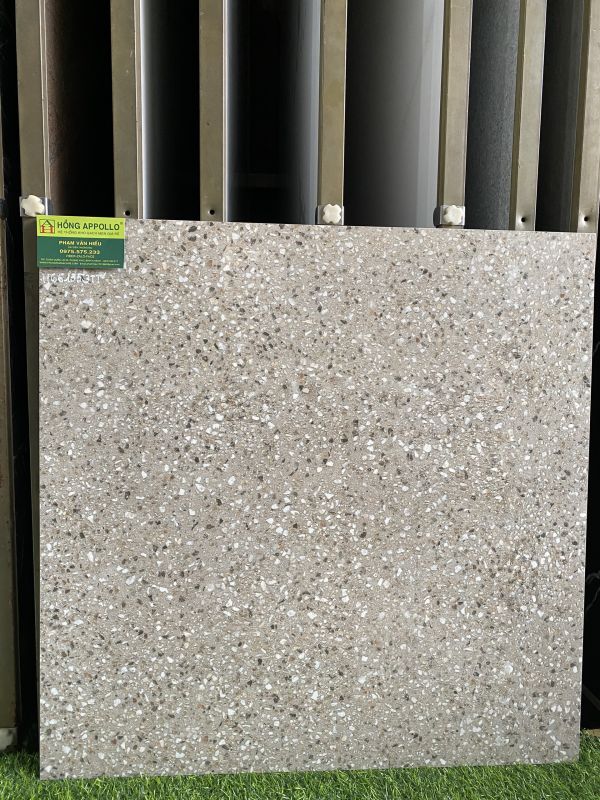 Gạch terrazzo đá mài bóng kính 60x60 lát nền ấn độ 3803