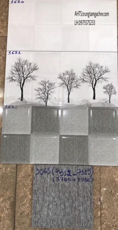 GẠCH ỐP TƯỜNG 30X60 HÀNG BỘ GIÁ RẺ 1194