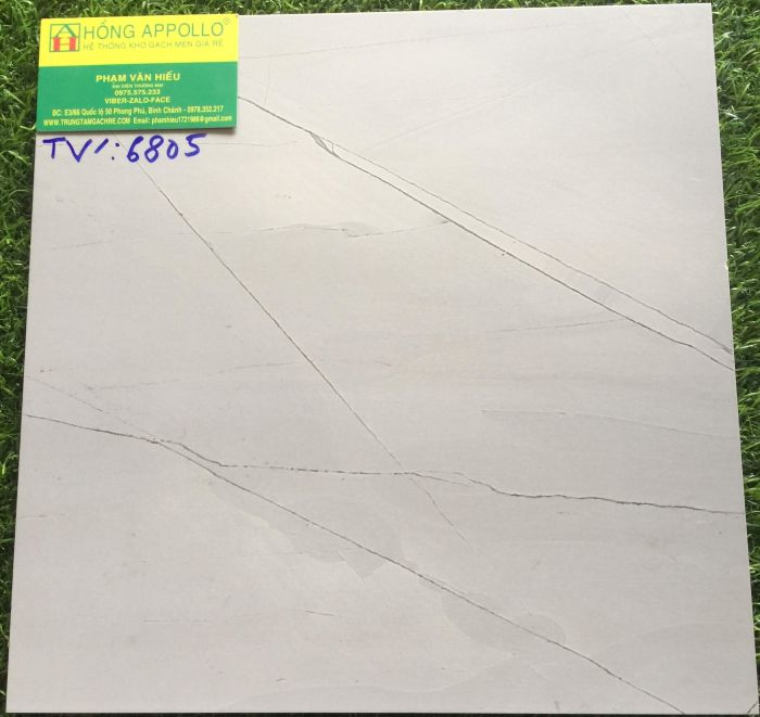 Gạch nhập khẩu 30x30 đẹp cao cấp TV6805