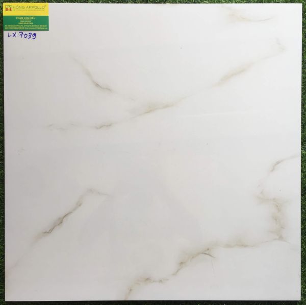 Gạch 60x60 đá bóng kiếng toàn phần 7039LX 2538