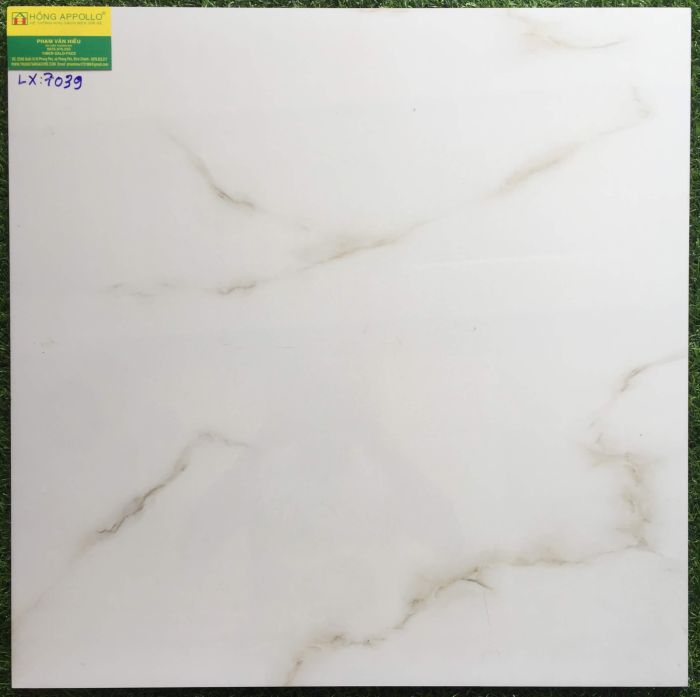 Gạch 60x60 đá bóng kiếng toàn phần 7039LX 2538