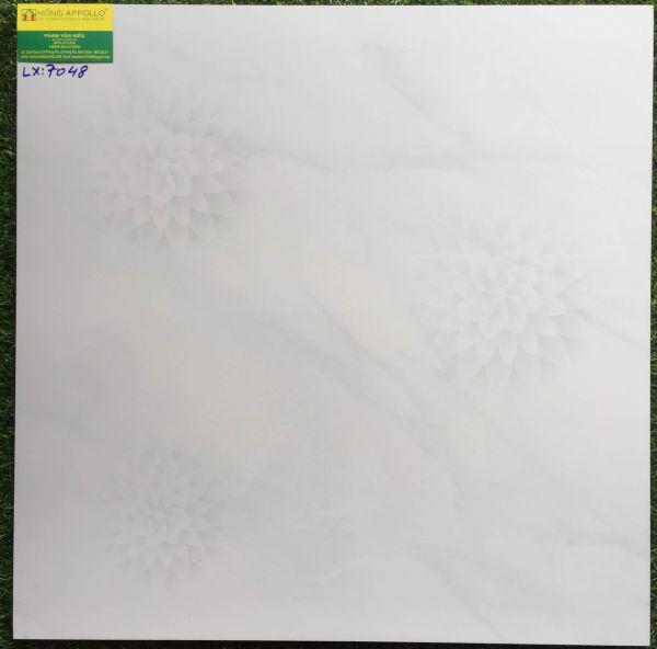 Gạch 60x60 cao cấp hoàn mỹ 7048LX 2539