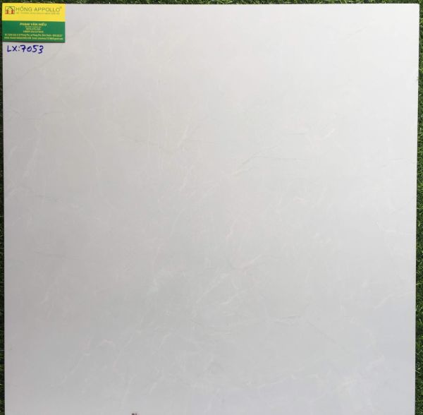 Đá bóng kiếng 60x60 cao cấp 7053LX 2542