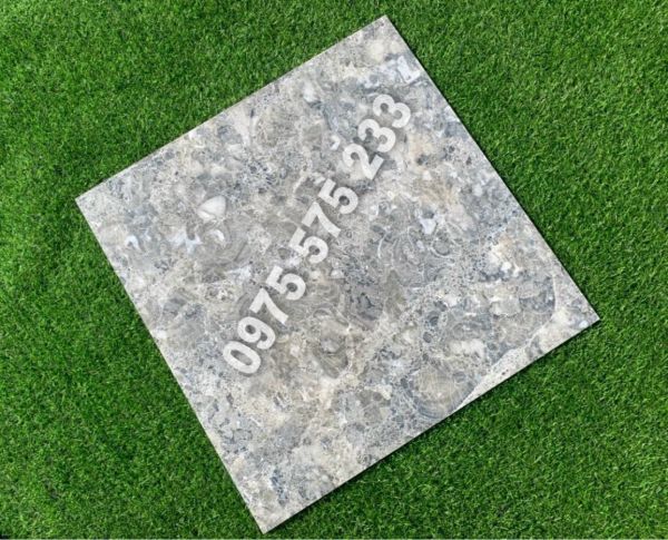 Gạch màu xám vân đá 60x60 ấn độ bóng kính 3839