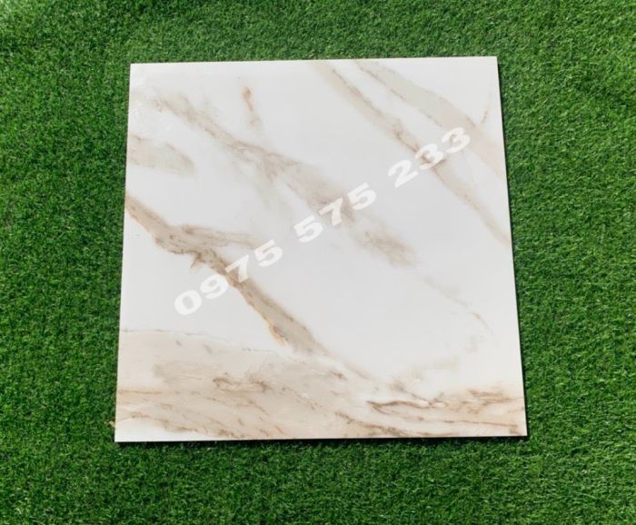 Gạch lót phòng khách 60x60 ấn độ đẹp đa dạng màu sắc 3842