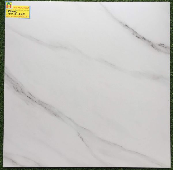 Gạch lát nền 60x60 ấn độ cao cấp E010 2495