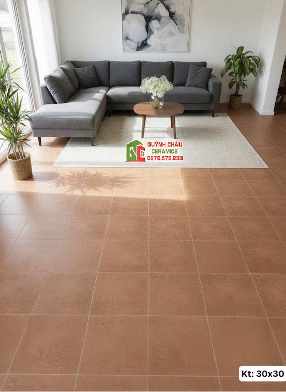 Gạch bông cổ điển 30x30 nâu cafe màu hiệu ứng
