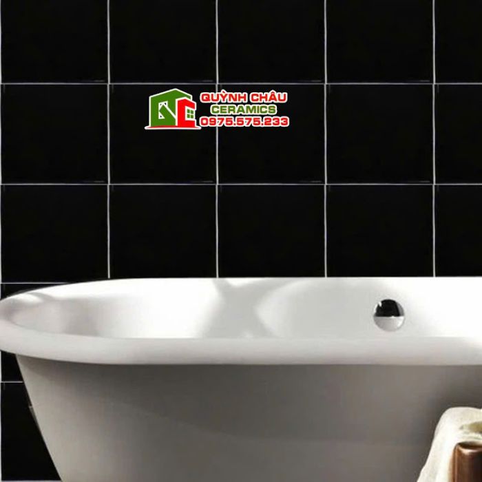 Gạch thẻ 20x20cm men đen bóng