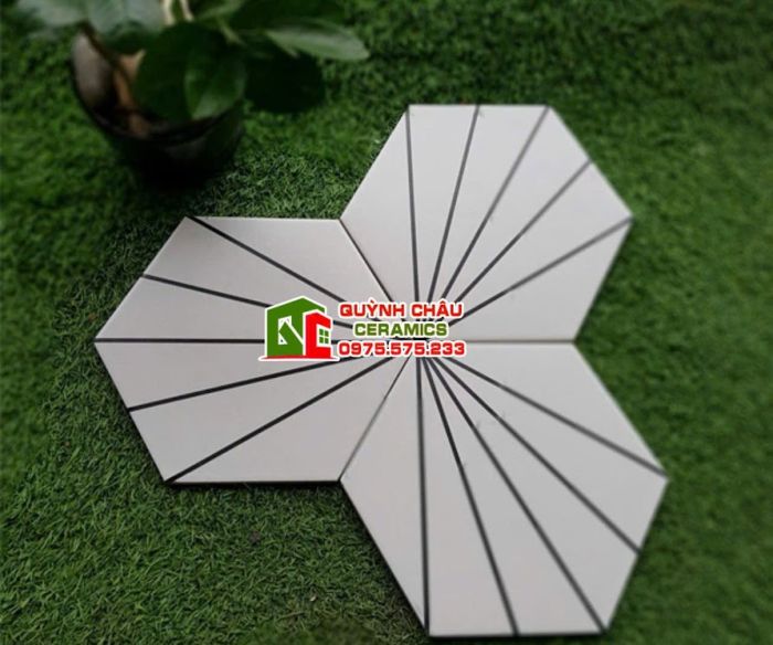 Mẫu gạch lục giác 5 tia cánh quạt đẹp