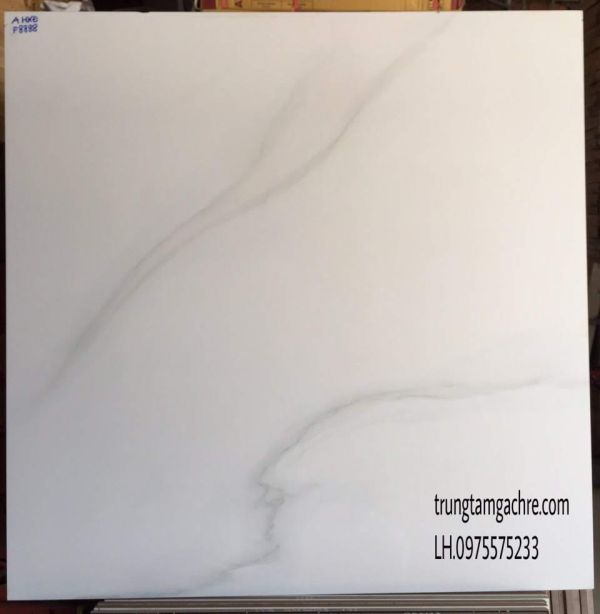 Gạch lát nền 80x80 prime cao cấp 8888 2338