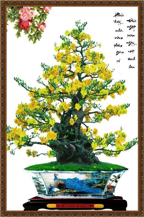 Gạch tranh cây mai ốp phòng khách