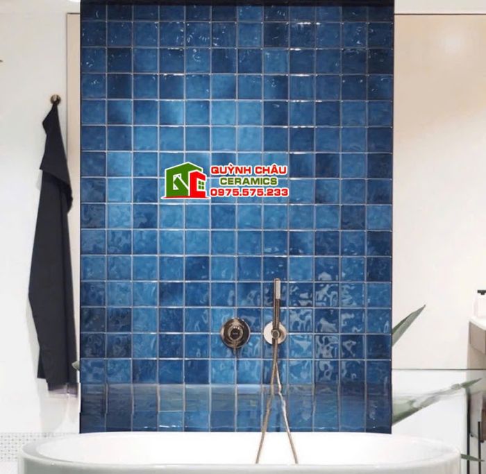 Các mẫu gạch thẻ trang trí 12x12 cm màu sắc ấn tượng