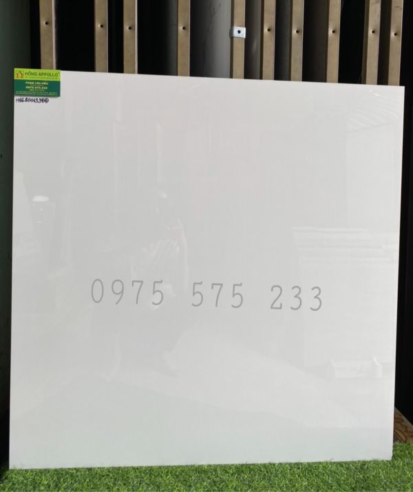 Gạch lát nền ấn độ 80x80 trắng sứ -trắng trơn-trắng tinh bóng kiếng 3779