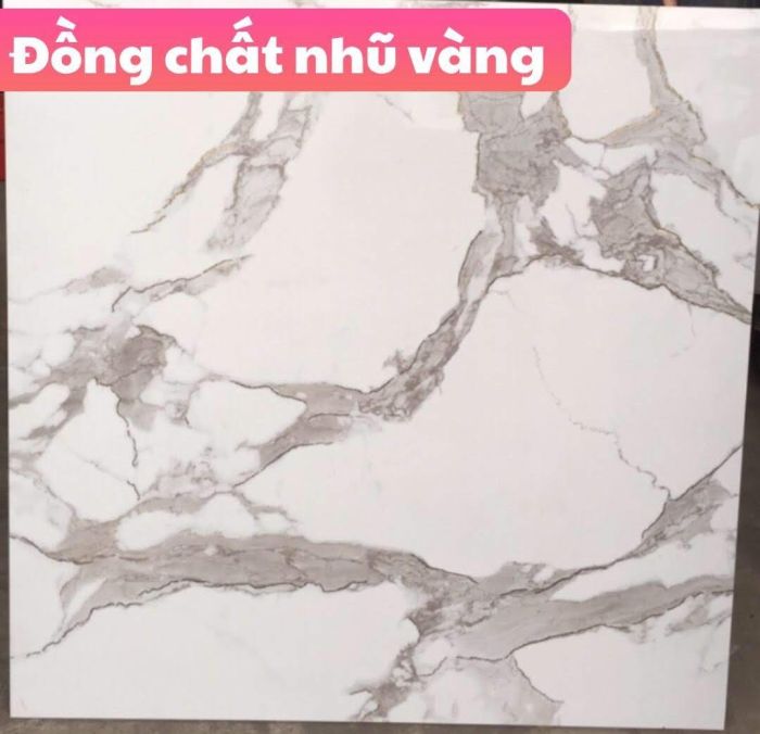 Gạch nhũ vàng 80x80 đồng chất trung quốc 8105HLH