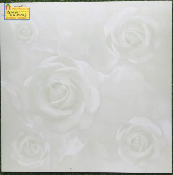 Gạch lát nền ceramic 60x60 PN03 2439