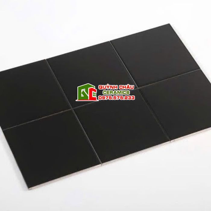 Gạch thẻ 20x20cm men màu đen mờ