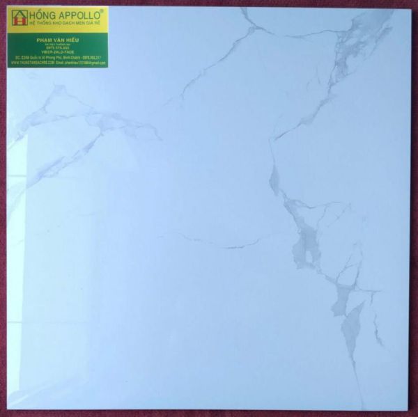 Gạch 60x60 bóng kiếng toàn phần cmc , 65018 2276