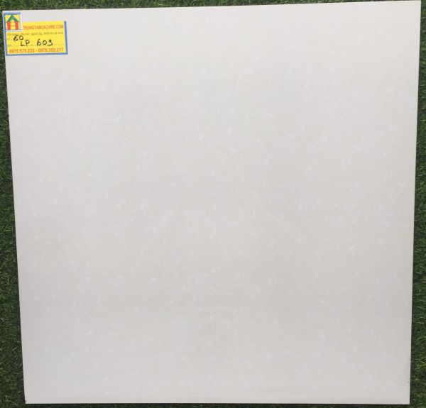 Gạch lát nền 60x60 CMC xà cừ trắng bóng kiếng toàn phần LP603 2756