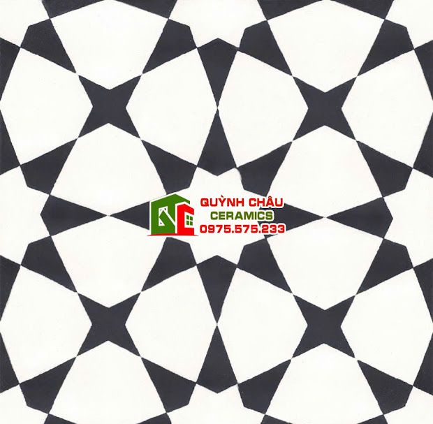 Gạch bông cánh sao đen trắng 20x20 cm