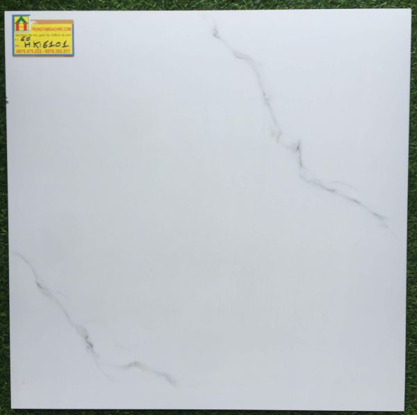 Đá bóng kiếng toàn phần 60x60 HK6101 2409