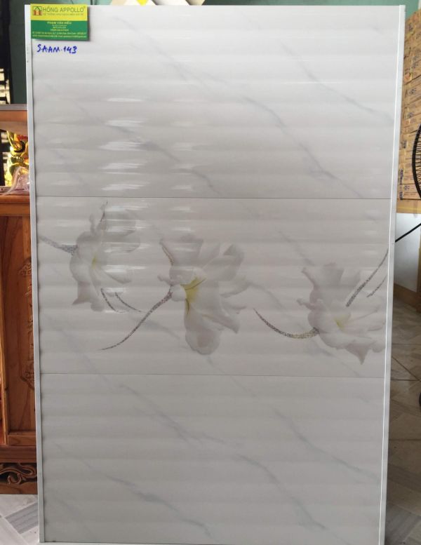 GẠCH ỐP TƯỜNG 30X60 GIÁ RẺ .S.A.AM 143 1961