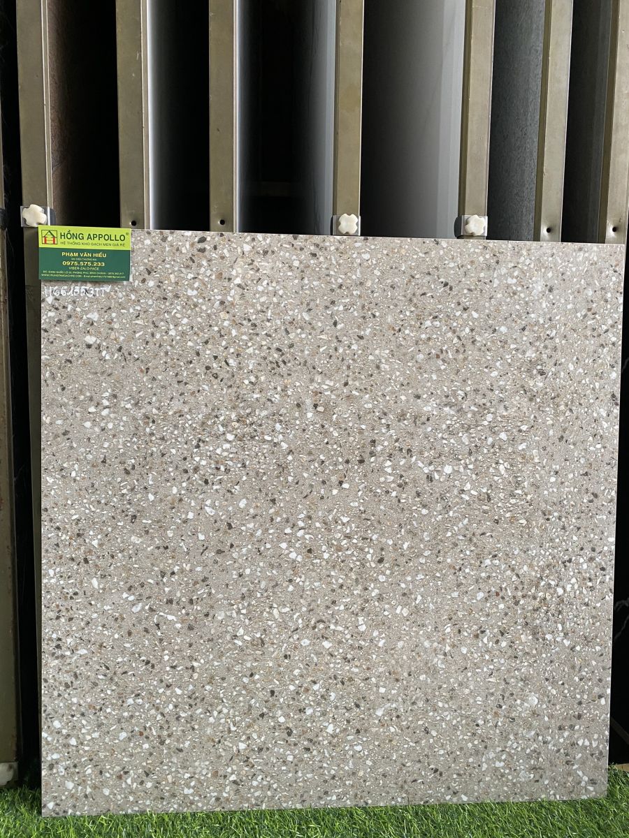Gạch terrazzo đá mài bóng kính 60x60 lát nền ấn độ