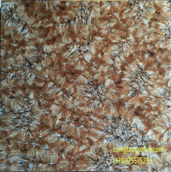 GẠCH 80X80 ĐÁ BÓNG KIẾNG TOÀN PHẦN GIÁ RẺ 1334