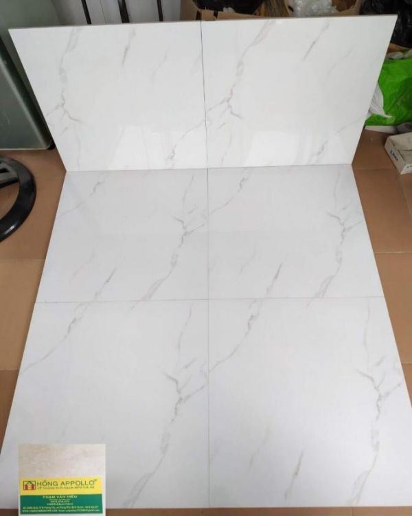 Gạch bóng kiếng 60x60 giá rẻ 2209