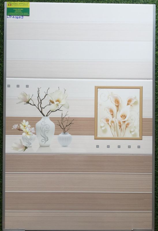 Mẫu gạch 30x60 ốp tường BNC đẹp LP3609 2807