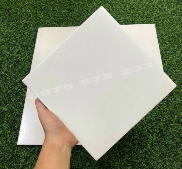 Gạch bông trắng mờ 20x20 hình vuông ốp lát Gạch bông trắng mờ 20x20 hình vuông ốp lát