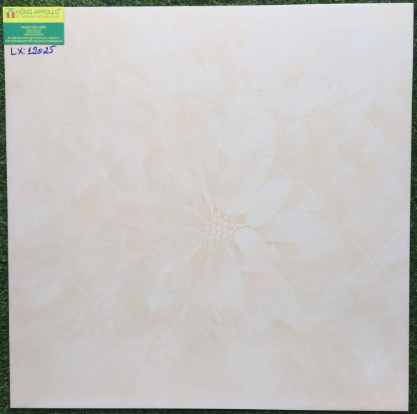 Gạch lát nền 60x60 đá bóng kiếng toàn phần prime 12025LX 2556