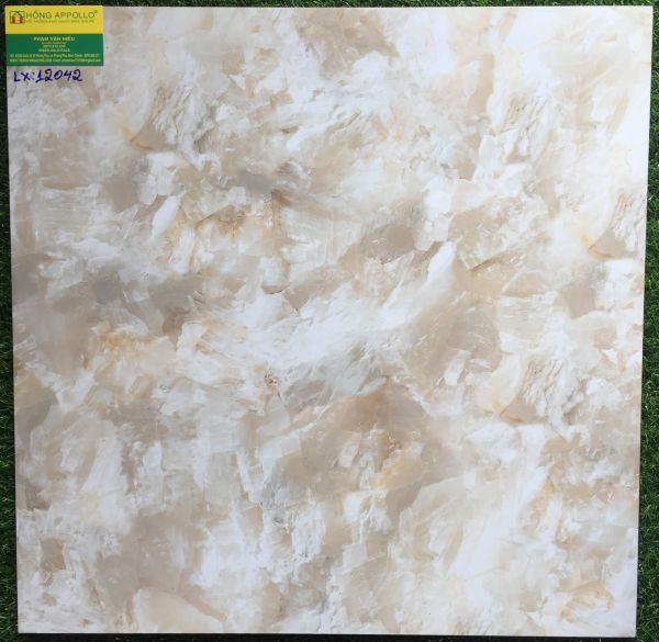 Gạch 60x60 lát nền bóng kiếng toàn phần 12042LX 2569