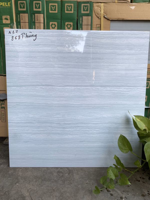 Gạch Lát Nền Bóng Kiếng 60x60 Vân Đá Tự Nhiên Gạch Lát Nền Bóng Kiếng 60x60 Vân Đá Tự Nhiên