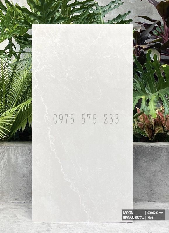 Gạch mờ mịn 60x120 cao cấp nhập khẩu