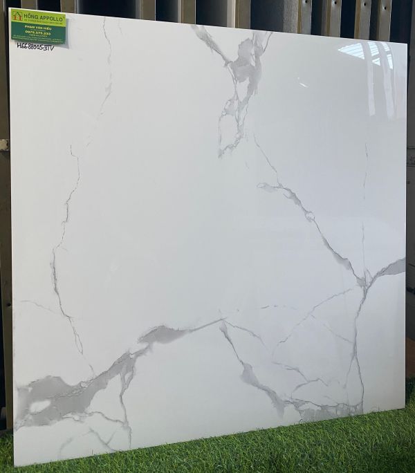 Gạch lát nền TTC 80x80 trắng vân khói bóng kính 3902 Gạch lát nền TTC 80x80 trắng vân khói bóng kính 3902