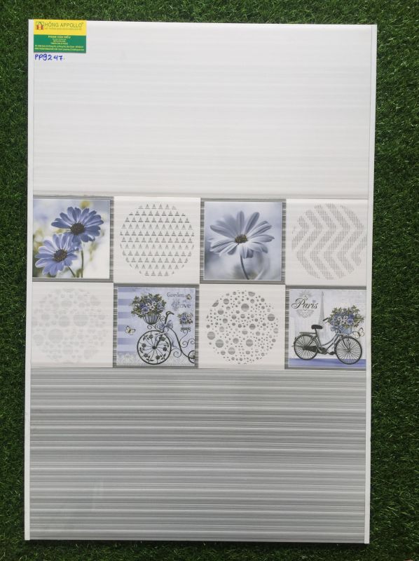 Gạch 30x60 dán tường phòng khách 9247PP 2590