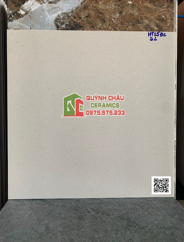 Gạch lát nền taicera 60x60 đá mờ trắng muối tiêu    Gạch lát nền taicera 60x60 đá mờ trắng muối tiêu